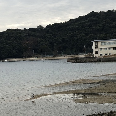 山口県の海水浴場 絶景ビーチおすすめ選 綺麗すぎる海や景色を堪能しよう 暮らし の