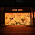 兵庫県で綺麗な紅葉名所&穴場スポットおすすめ13選！ライトアップ情報も！