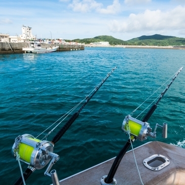 海釣りの定番 イソメ とは その正体や釣り餌としての使い方をご紹介 暮らし の