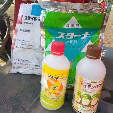 展着剤の使い方と効果って 農薬の効果を高める正しい使い方をご紹介 暮らし の