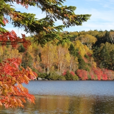 八ヶ岳の紅葉を見に行こう 見頃の時期や絶景おすすめスポットをご紹介 暮らし の