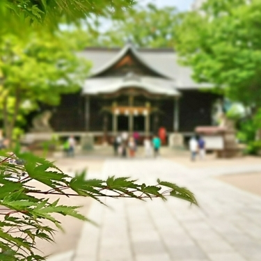 全国 縁切りに効果絶大と噂の有名な寺 神社10選 新たな良縁結ぼう 暮らし の