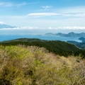 達磨山のハイキングコース情報！富士山も一望できるコースの魅力もご紹介！