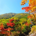 埼玉の秋に行きたい登山スポットおすすめ10選！初心者向けに難易度もご紹介！