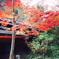 京都の秋に行きたい登山スポットおすすめ１２選！コースの難易度含めてご紹介！