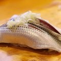 コハダとは？お寿司でも有名な魚の生態や美味しい食べ方・さばき方をご紹介！