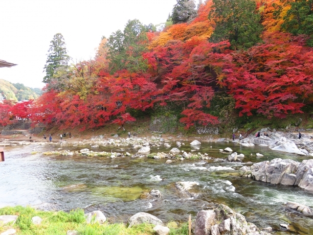 東海エリアで秋冬に行きたいおすすめドライブスポット12選 絶景も楽しめる Kurashi No