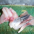 美味しい深海魚「メヌケ」とは？その生態や美味しい食べ方などをご紹介！