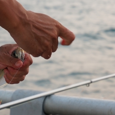 冬の海釣り攻略 堤防や船など釣れる釣り方と釣れない理由を徹底解説 暮らし の