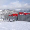 白馬コルチナスキー場特集！圧巻の雪質を体感できるスキー場の魅力をご紹介！