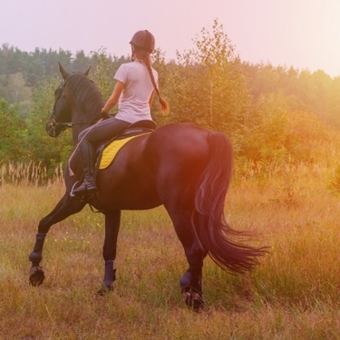 全国のホーストレッキングの体験場所１３選 馬に乗りながら自然を感じよう 暮らし の