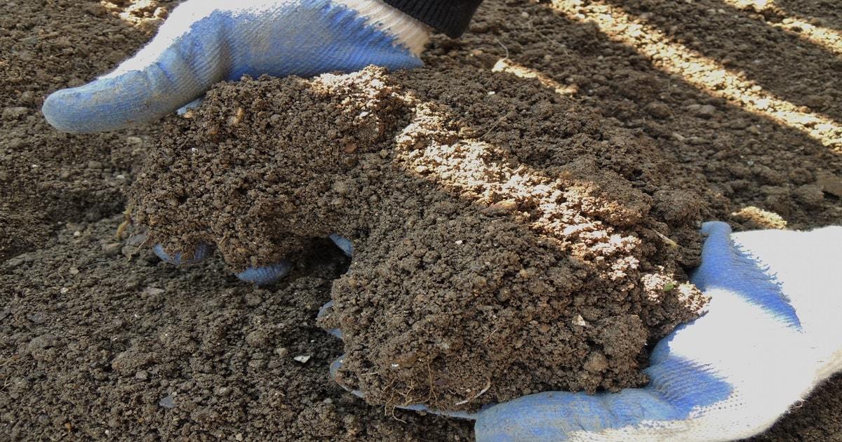 土壌改良おすすめの方法をご紹介 土壌改良材の種類と効果を解説 暮らし の