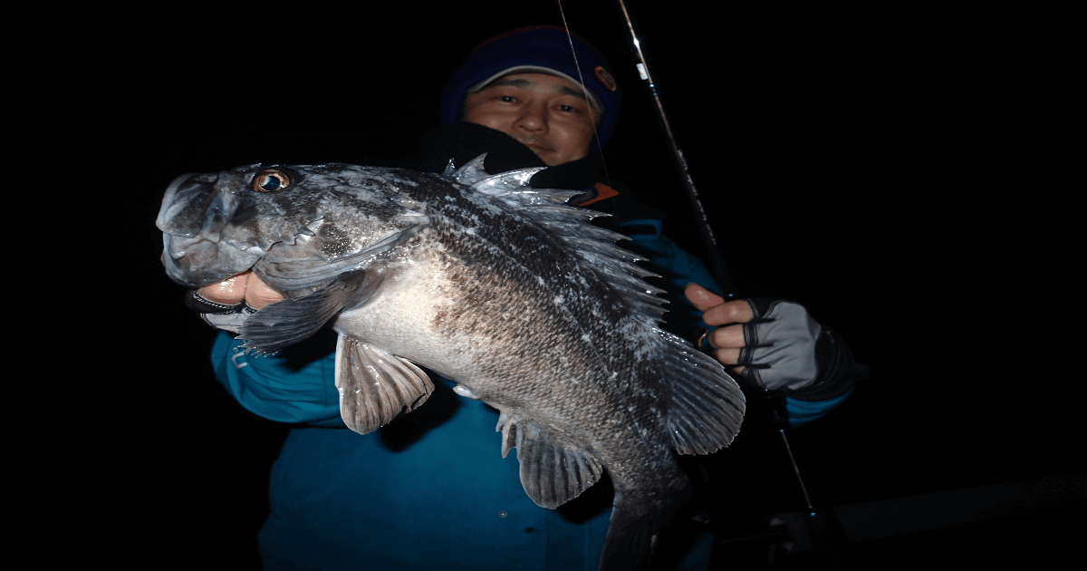 クロソイの釣り方 寒い夜でも狙える3つのポイントを解説 暮らし の