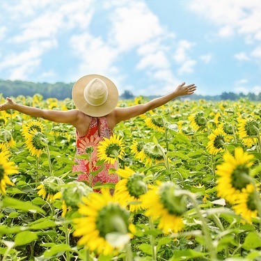 夏の花の種類17選 日本の夏の暑さや日差しに強く育てやすい人気品種をご紹介 暮らし の