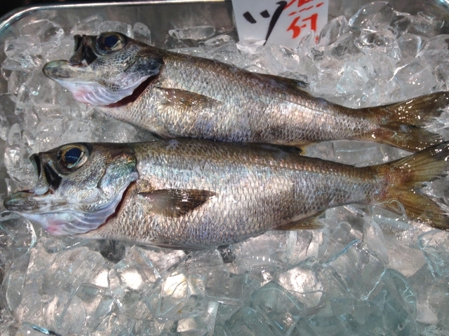 ムツとはどんな魚 その特徴や種類とおすすめの美味しい食べ方をご紹介 Kurashi No