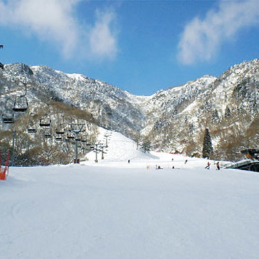 滋賀の人気スキー場おすすめ8選 ゲレンデのコースやレンタル情報も 暮らし の