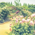 東京都内の植物園おすすめランキング13！デートでも人気な施設もご紹介！