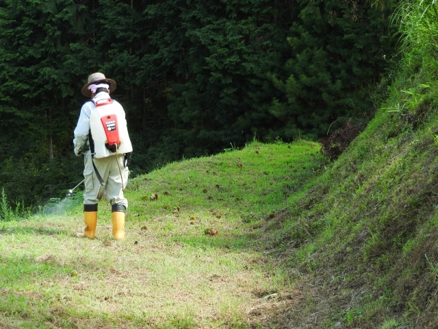 除草剤の種類による効果の違いを解説 よく効くおすすめ商品と使い方をご紹介 暮らし の