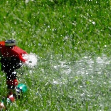 芝生の水やりってどうする 最適な頻度や時間など時期に合わせたコツを解説 暮らし の