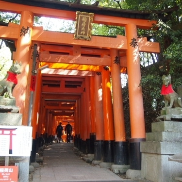 お稲荷様とは 稲荷神社の御利益や神様の使いであるキツネの意味も解説 2ページ目 暮らし の