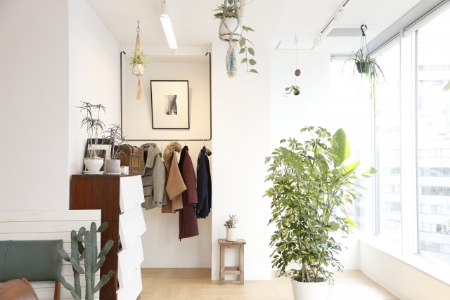観葉植物のあるおしゃれな部屋にするインテリア術まとめ 飾り方 置き方の実例も 暮らし の