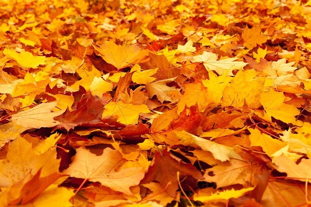 21 関西で秋登山で行きたい紅葉が綺麗な山おすすめ13選 ここは絶景 暮らし の