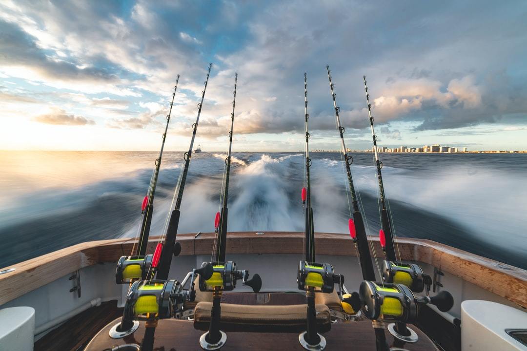 虫ヘッドはなぜ釣れる 気になる仕掛けのポイントと釣れる使い方を徹底紹介 暮らし の