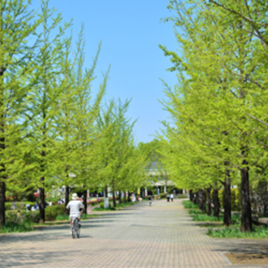 埼玉のおすすめピクニックスポット12選 大人も子供も大満足の公園は 暮らし の