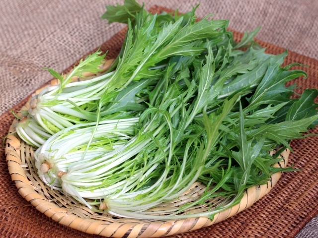 京菜とは その特徴や水菜との違いは 京菜の美味しい食べ方も紹介 暮らし の