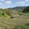 奈良のサイクリングコースおすすめ13選！観光客に人気のスポットも紹介！