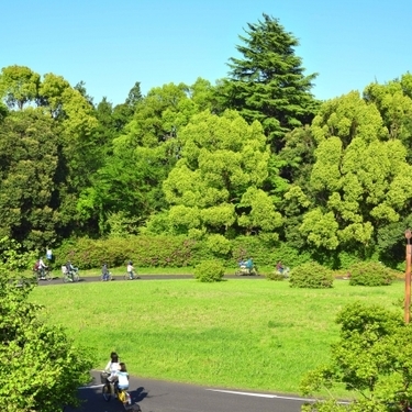 昭和記念公園のサイクリングを徹底ガイド カップル 家族別に魅力をご紹介 暮らし の