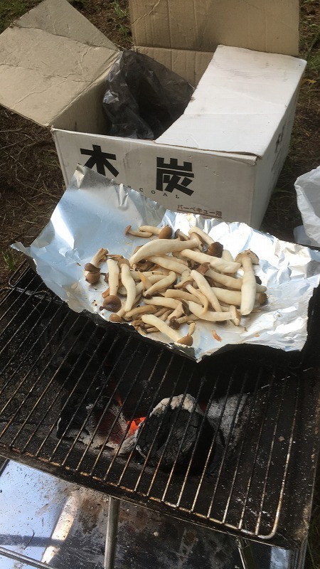 キャンプ通が語る】BBQに使う炭の選び方大全！点火しやすく長持ちする種類は？ | kurashi-no