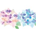 繊細で可愛らしい紫陽花「万華鏡」の育て方を徹底ガイド！綺麗な色の出し方は？