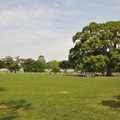 2022！熊本のおすすめピクニックスポット１３選！デートや子連れにも人気の公園は？
