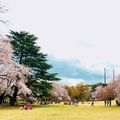 【2020】宮崎のおすすめピクニックスポット13選！観光客に人気の公園も！