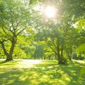 【2020】鹿児島のおすすめピクニックスポット13選！芝生のある人気の公園も！