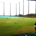 鹿児島県で人気のゴルフ練習場13選！打ちっぱなしや打ち放題がアツい！口コミも！