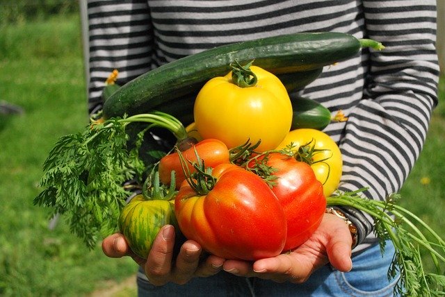 家庭菜園初心者のための肥料ガイド おすすめ種類や選び方 使い方までサクッと解説 暮らし の