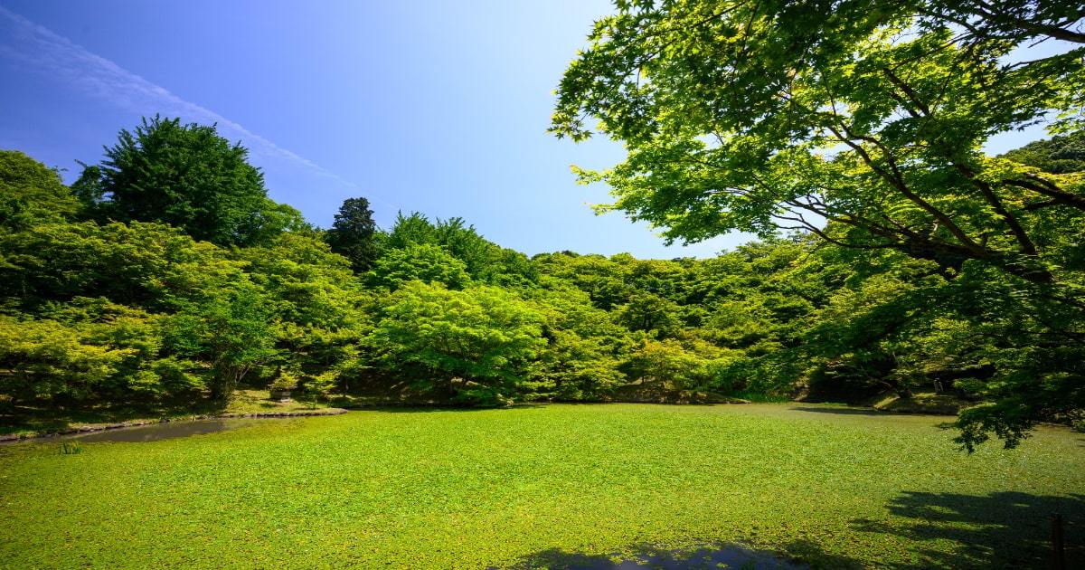 大自然 qが格別 東京ドイツ村のバーベキューの魅力とは 気になる口コミも 暮らし の