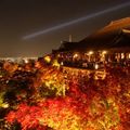 【2021】京都の紅葉スポット人気16選！秋に一度は行きたい絶景名所はココ！
