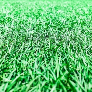100均ダイソーの人工芝で床を綺麗に おすすめの商品を徹底レビュー 暮らし の