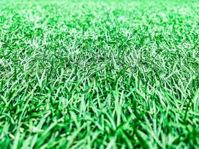 100均ダイソーの人工芝で床を綺麗に おすすめの商品を徹底レビュー 暮らし の