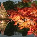 【2020】東京都内の人気紅葉スポット14選！のんびり秋を楽しめる絶景名所はココ！