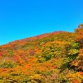 【2021】草津温泉の人気紅葉スポット14選！温泉街で秋限定の絶景を楽しもう！