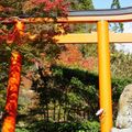 【2021】京都の貴船神社の紅葉特集！見どころやアクセス方法を解説！