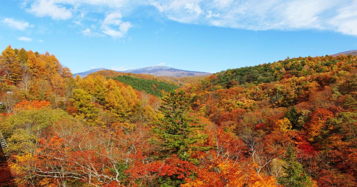 磐梯山の紅葉ガイド ロープウェイや登山で絶景スポットを楽しもう 暮らし の