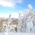 非圧雪でパウダースノーが楽しめる！八甲田スキー場の魅力や口コミをご紹介！