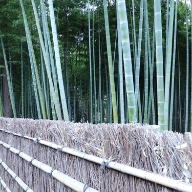 万能素材の竹を使ってdiyをしよう 簡単に作れるおしゃれなインテリアの作り方を紹介 3ページ目 暮らし の