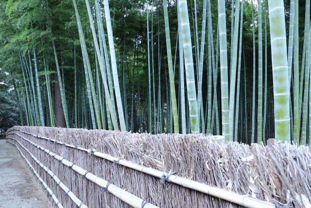 万能素材の竹を使ってdiyをしよう 簡単に作れるおしゃれなインテリアの作り方を紹介 暮らし の