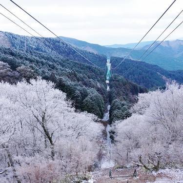 日帰りで楽しめる 金剛山の登山コース5選 初心者や家族に人気のルートはコレ 暮らし の